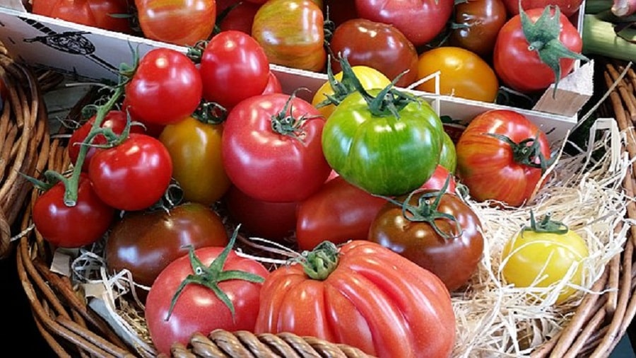 aztec-tomatoes
